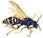 Allison Pest Control solves your stinging insect and hive problems in New Jersey. Stinging Insects